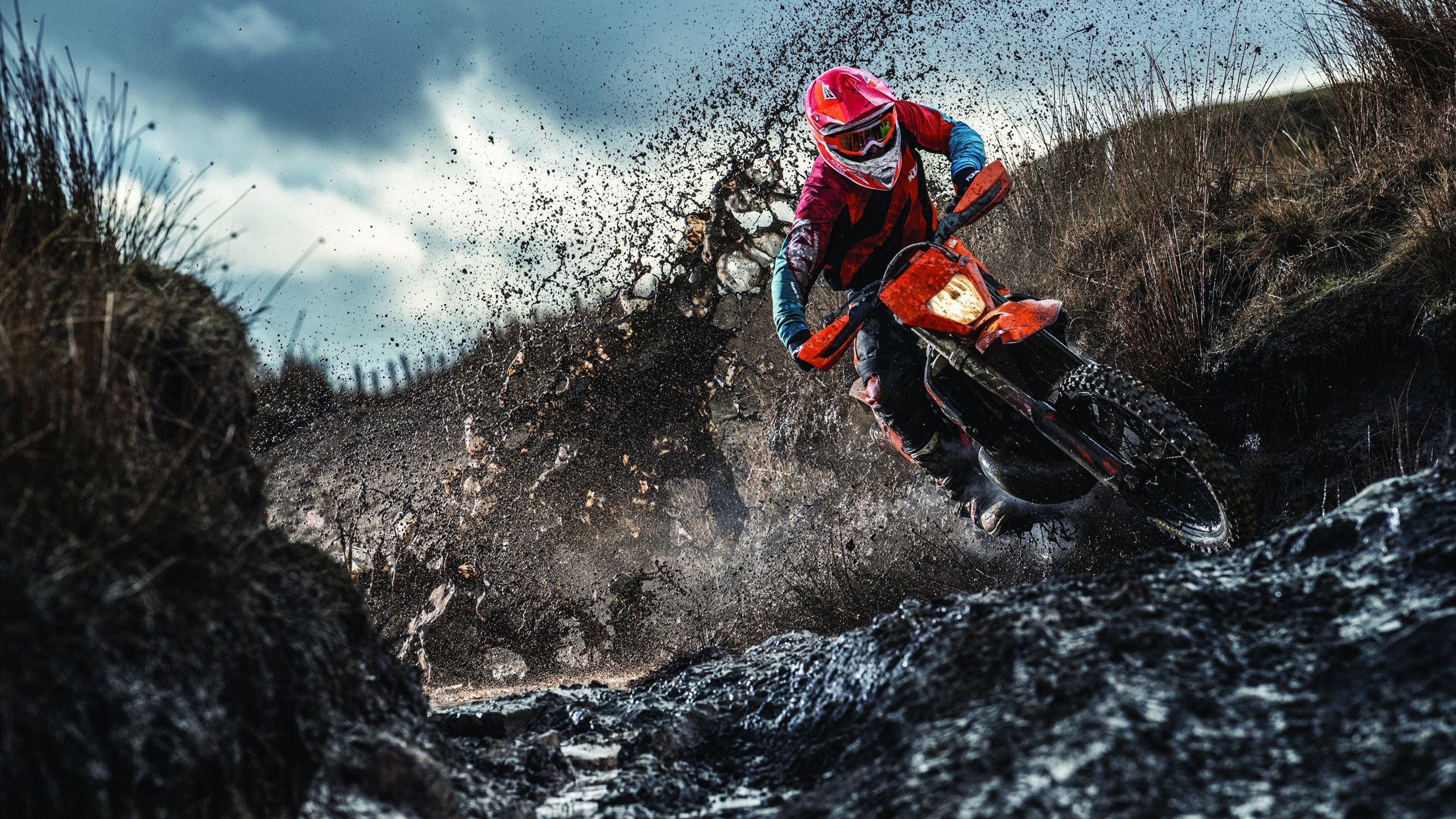 开云体育官网-唯一性之战，多特蒙德粉碎里昂，恩佐如何以非典型方式接管欧冠淘汰赛